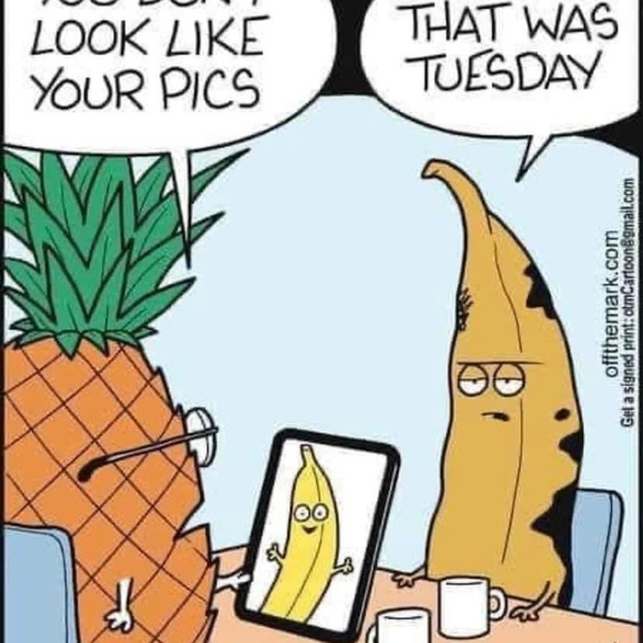 Meet your Posher, Ana - Picture 6 of 7